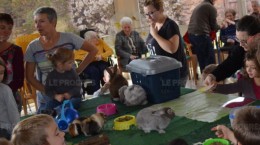 tous-les-participants-ont-pu-nourrir-et-jouer-avec-les-animaux-photo-josiane-poncet-1450251431