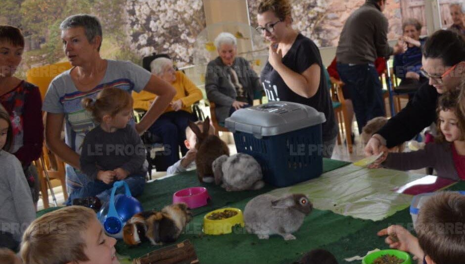 tous-les-participants-ont-pu-nourrir-et-jouer-avec-les-animaux-photo-josiane-poncet-1450251431